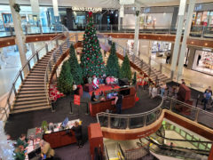 Home | Santa at Phipps Plaza