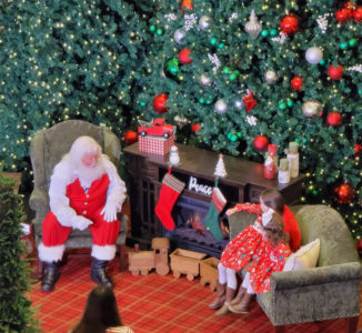 Home | Santa at Phipps Plaza